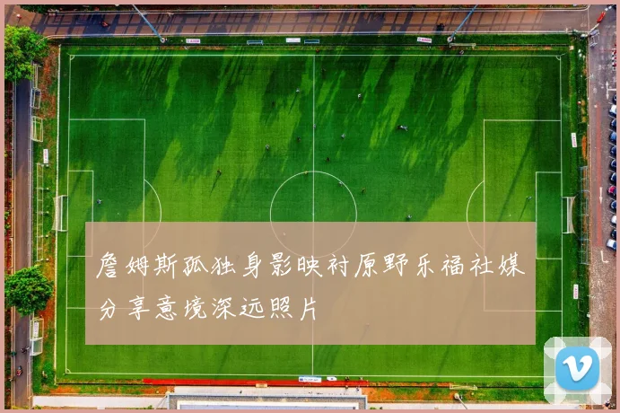 詹姆斯孤独身影映衬原野乐福社媒分享意境深远照片