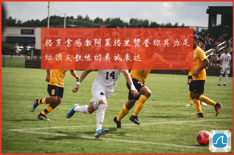 格罗索感激阿莱格里赞誉称其为足坛顶尖教练的真诚表达