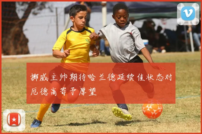 挪威主帅期待哈兰德延续佳状态对厄德高寄予厚望