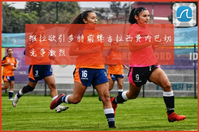 维拉欲引多特前锋吉拉西费内巴切竞争激烈